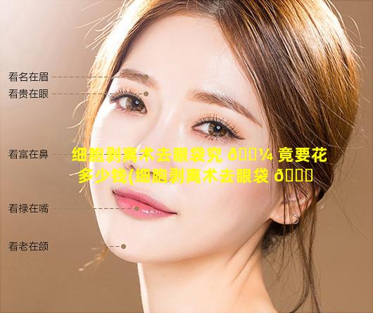 细胞剥离术去眼袋究 🌼 竟要花多少钱(细胞剥离术去眼袋 🕊 究竟要花多少钱一次)